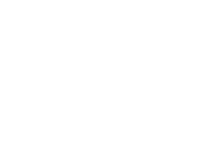 asian financial forum aff yorkseed