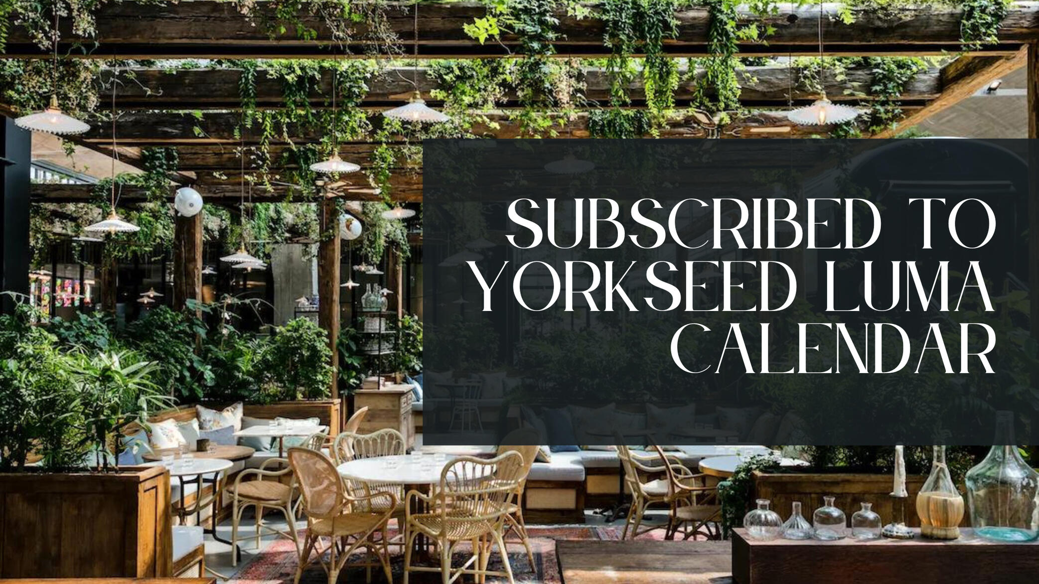 Yorkseed LUMA, investor founders